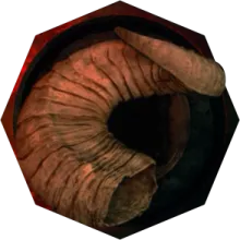 Horn