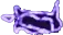 Symbol 5